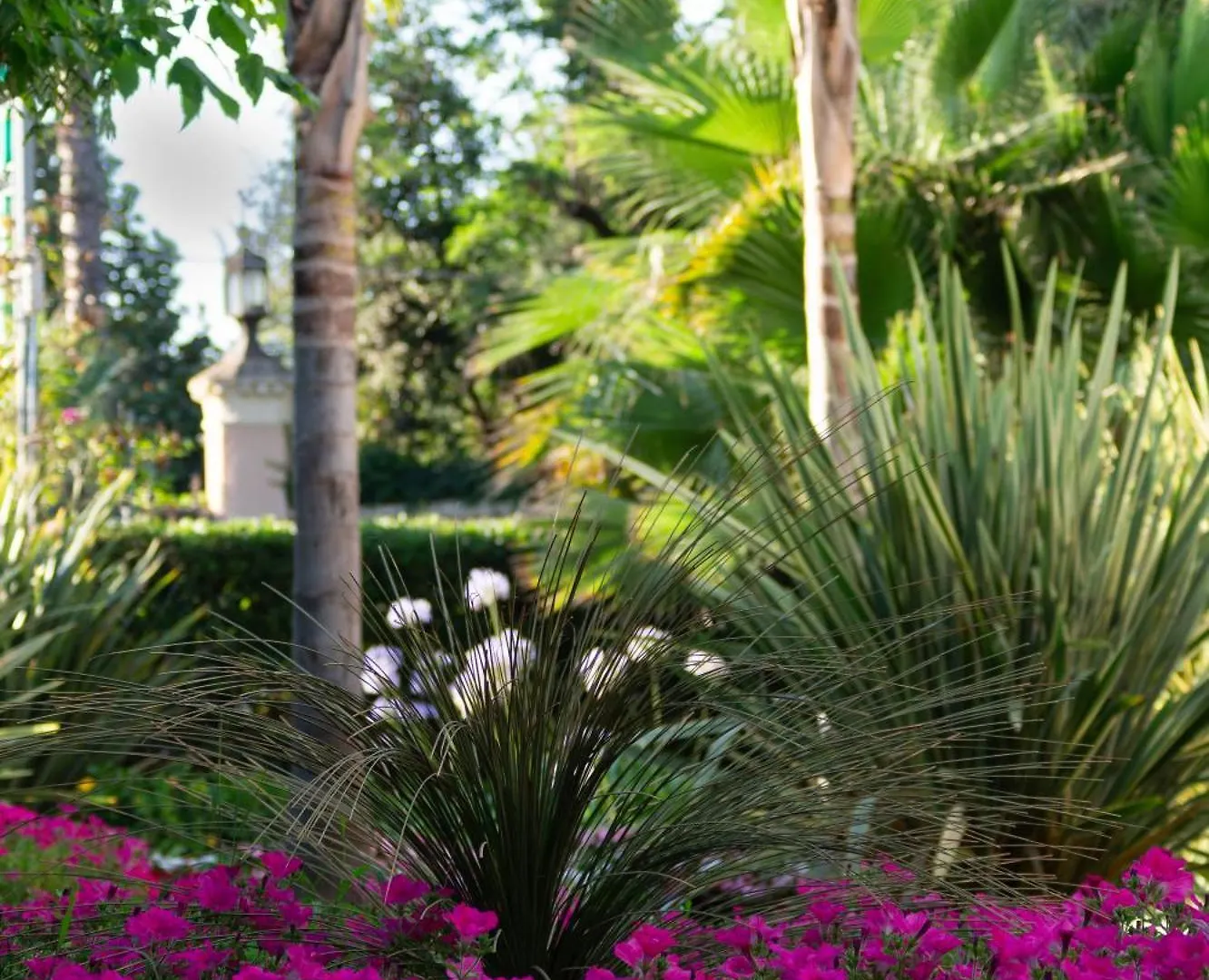 Park Hotel Giusy Lido di Camaiore 3*,