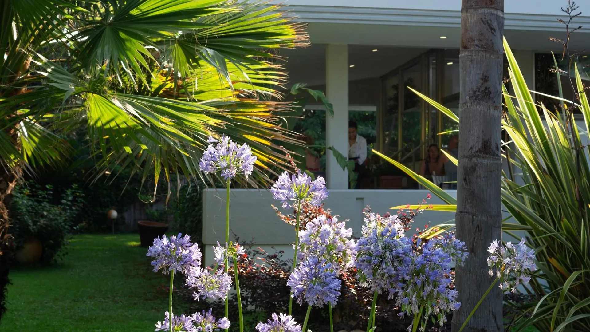 Park Hotel Giusy Lido di Camaiore