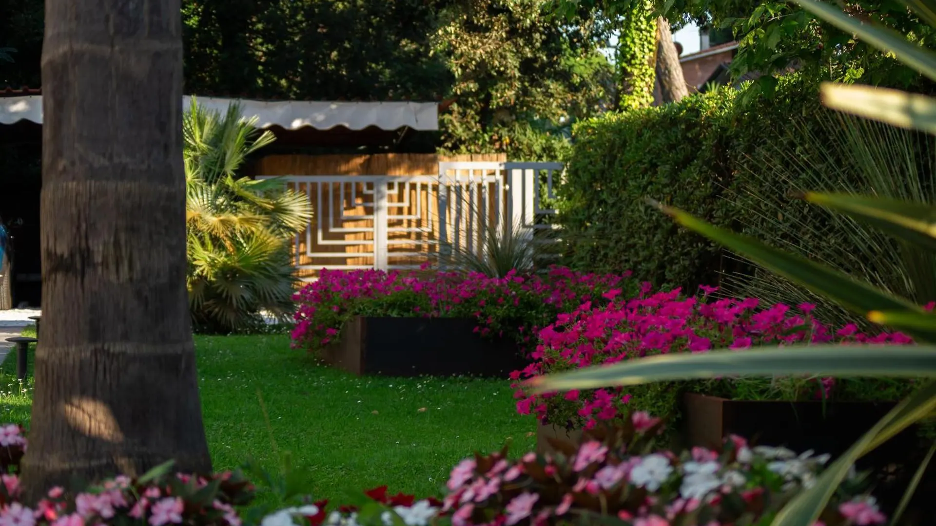 Park Hotel Giusy Lido di Camaiore 3*,